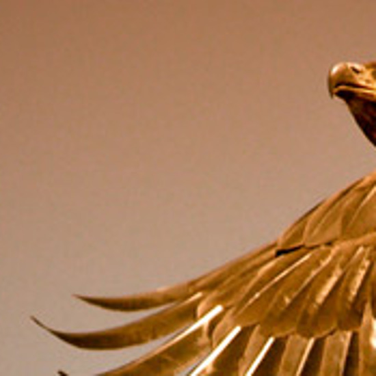 New Study Confirms Maori Legend of Giant Eagle