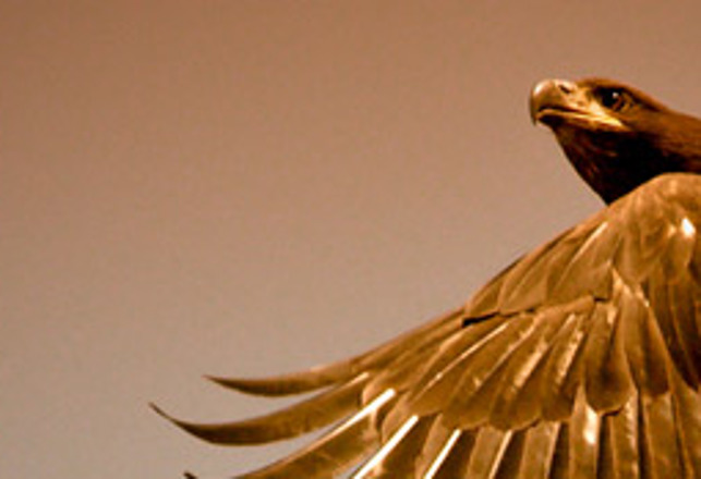 New Study Confirms Maori Legend of Giant Eagle