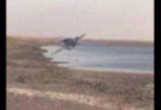 Strange Object Caught on Cellphone in Argentina
