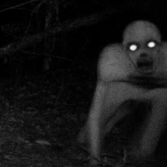 Was Ghoulish Trail Camera “Zombie” a Publicity Stunt?
