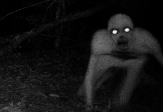 Was Ghoulish Trail Camera “Zombie” a Publicity Stunt?