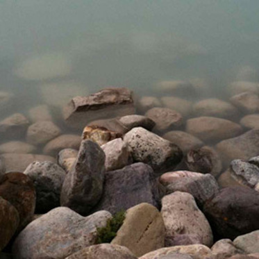 Lake Windermere’s Nessie Spotted?