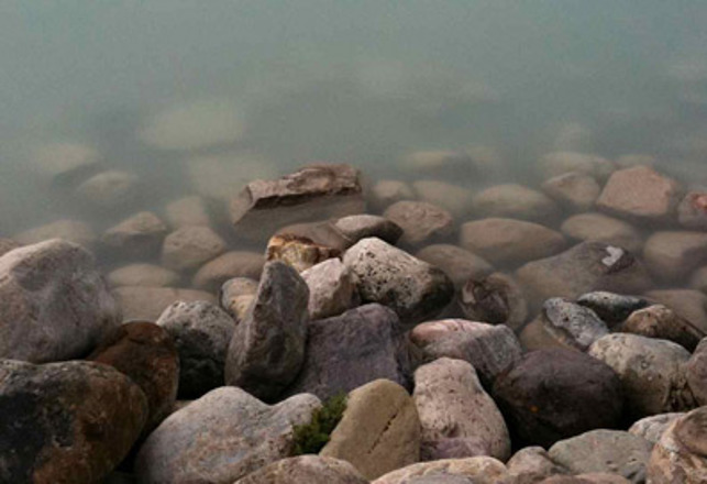 Lake Windermere’s Nessie Spotted?