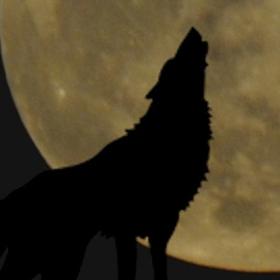Stalking the British Werewolf