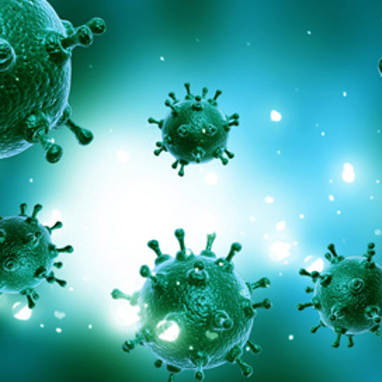 Do Genetically Engineered “Superviruses” Pose a Threat to Humankind?