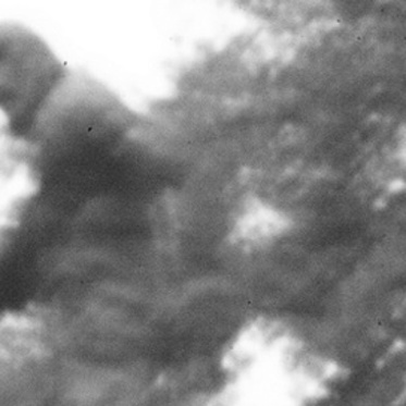 The Santorumsquatch: Was Bigfoot Spotted in a New Ron Paul Ad?