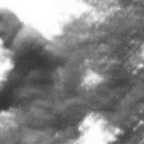 The Santorumsquatch: Was Bigfoot Spotted in a New Ron Paul Ad?