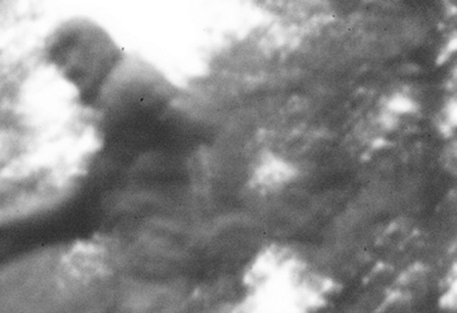 The Santorumsquatch: Was Bigfoot Spotted in a New Ron Paul Ad?