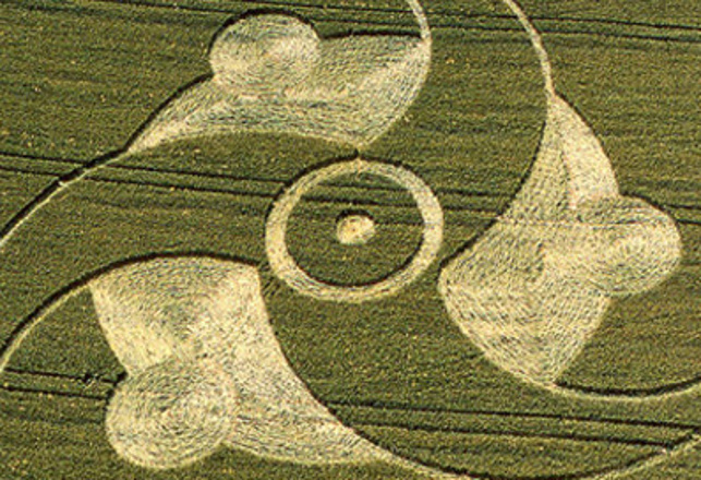 Crop Circles: A Curious Case-File