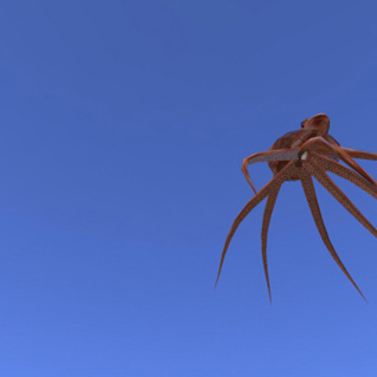 Travel of the Tentacular Kind: Return of the Sky Squids!
