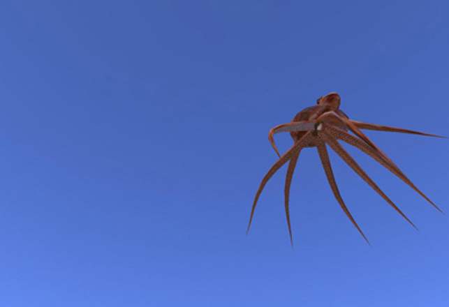 Travel of the Tentacular Kind: Return of the Sky Squids!