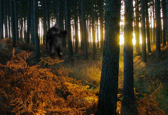 Bigfoot: The Strangest Case Of All?