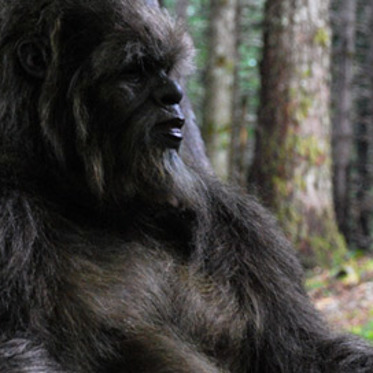 The Little Bigfoot Phenomenon