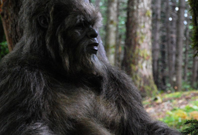 The Little Bigfoot Phenomenon