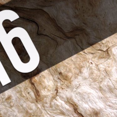 8.16 – MU Podcast