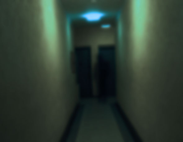 Dark shape in the hallway