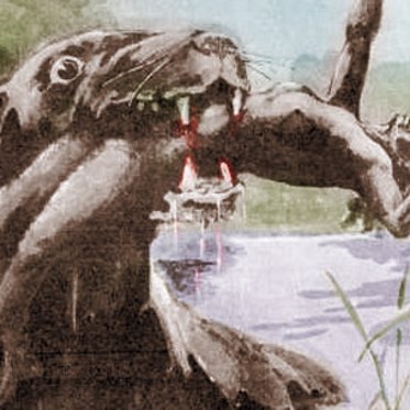 The Elusive Bunyip: Australia’s Chameleon Cryptid