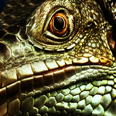 Deceit, Lies & Deception:  What Is The True Reptilian Agenda