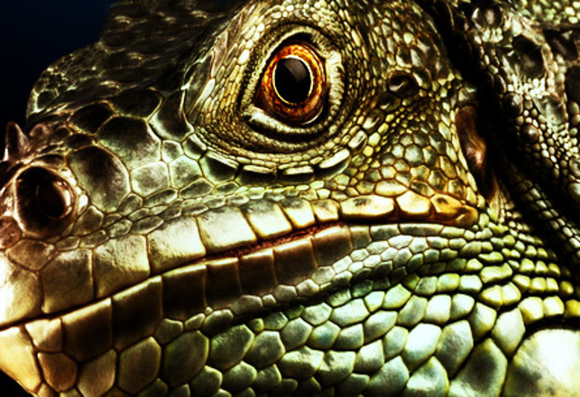 Deceit, Lies & Deception:  What Is The True Reptilian Agenda
