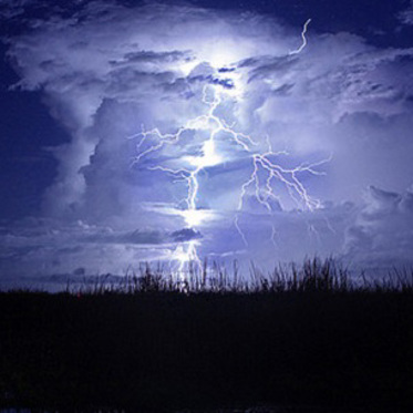 The Gray Man of Pawleys Island