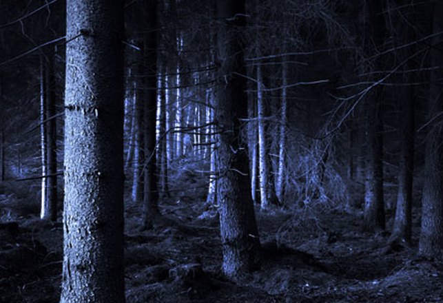 Creepy Woods: Unknown Beasts and Hauntings in the Forest