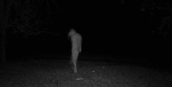 trail cam scary
