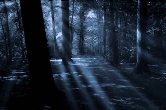 dark-woods-england