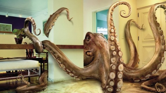 Funny-Giant-Octopus-Attack-640x360