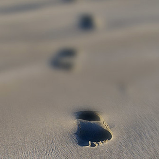 Footprints of the Gods: Proof of “Giants?”