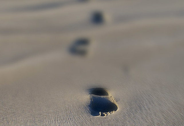 Footprints of the Gods: Proof of “Giants?”