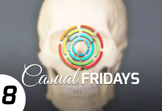 MU Casual Fridays #8 – Bullet Proof Dolphin