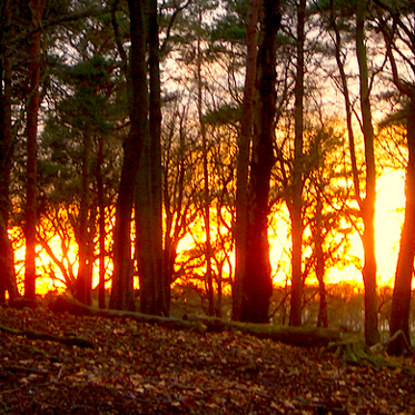 Brown Mountain Lights: Fire Erupts in the Linville Gorge