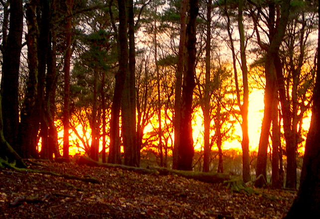 Brown Mountain Lights: Fire Erupts in the Linville Gorge