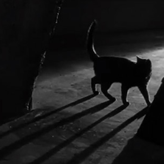 Karloff and Lugosi: ‘The Black Cat’ (1934)- Movie Review