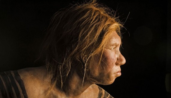 neanderthal1