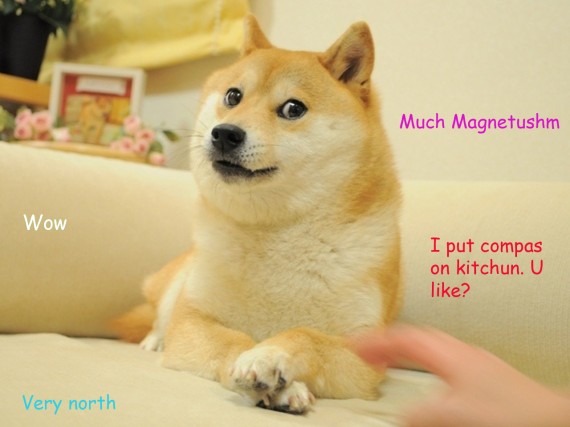 magnetic_doge