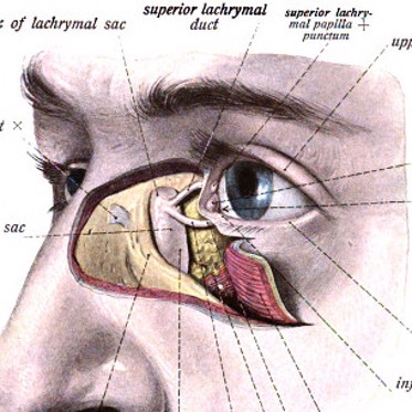 Duct Tales Diaries: Tears of Blood, Crystal, and Stone