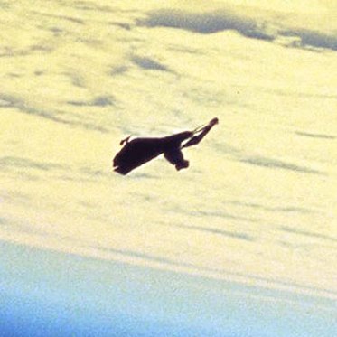 The Black Knight Satellite, Bracewell Probes, and Philip K. Dick