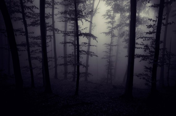 dark-forest-creepy