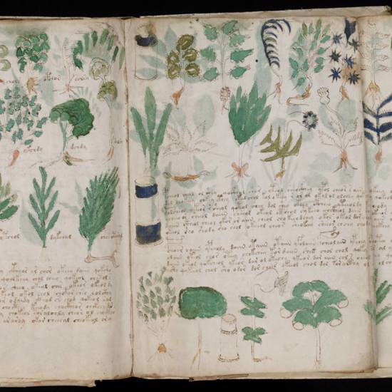 The Code of the Voynich Manuscript HAS NOT Been Solved … Yet