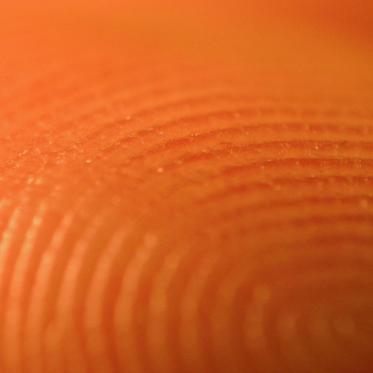 What Fingerprints Can Tell Us