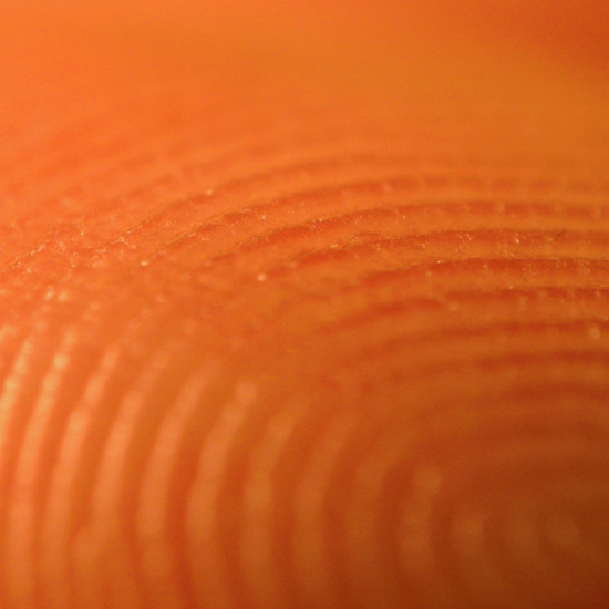 What Fingerprints Can Tell Us