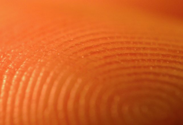 What Fingerprints Can Tell Us