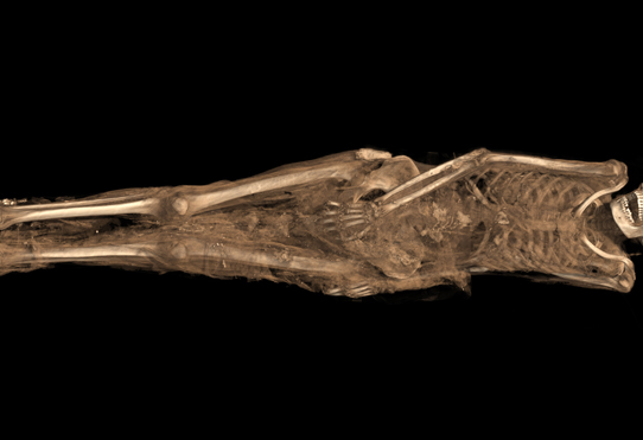 Ancient Sudanese Mummy has Christian Tattoo