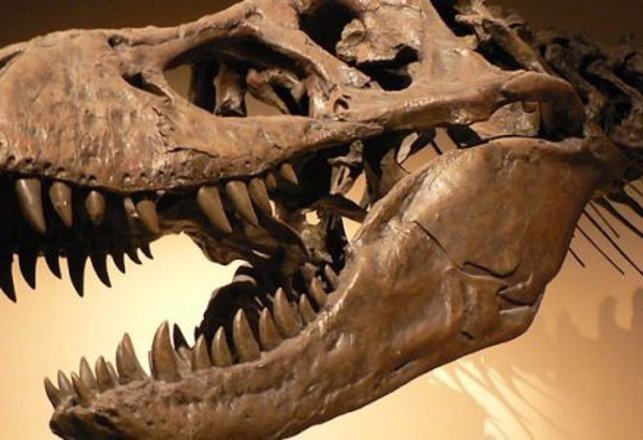 A New Resident For Jurassic Park