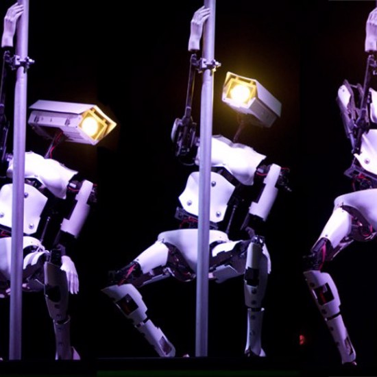 Pole-Dancing Robots: Science or Scandal?