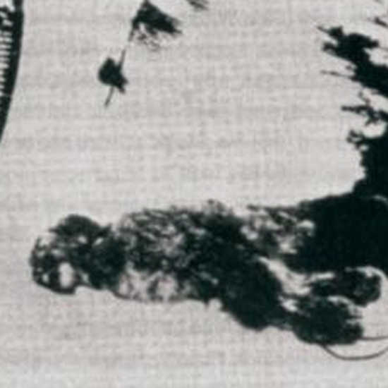 This Rare Photo of a “Dead Bigfoot” is Older Than We Thought
