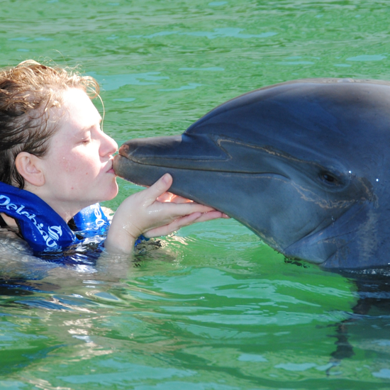 Can Humans and Dolphins Verbally Communicate?