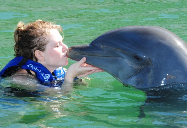 Can Humans and Dolphins Verbally Communicate?