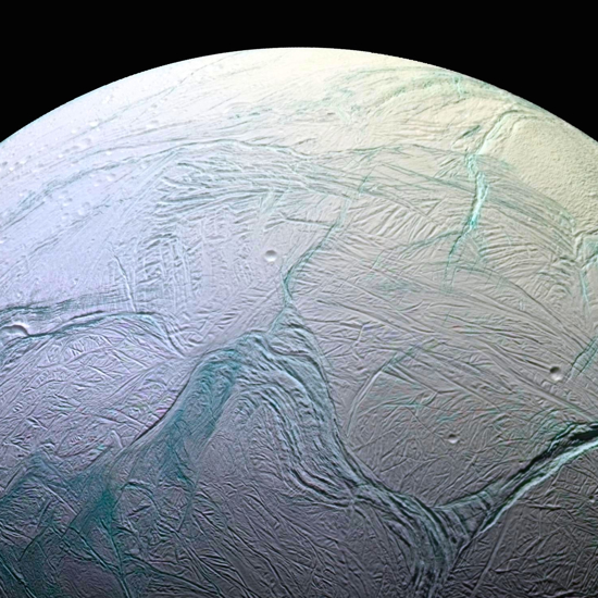 Is There Life on Enceladus?